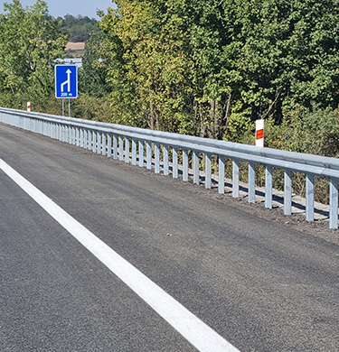 Beraněná svodida